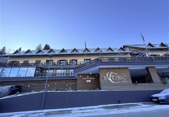 HOTEL IL CERVO - 